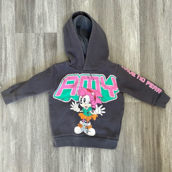 Sonic The Hedgehog Amy Rose Limited Edition Hoodie - Picture 2 of 3